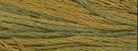 Hay Ride Classic Colorworks Cotton Floss