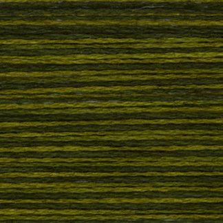 2202 Bullfrog Weeks Dye Works 2-Strand Floss