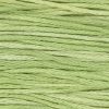 1120 Wasabi Weeks Dye Works 6-Strand Floss
