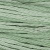 1166 Sea Foam Weeks Dye Works 6-Strand Floss