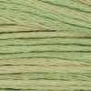 1189 Butter Bean Weeks Dye Works 6-Strand Floss