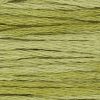 1193 Guacamole Weeks Dye Works 6-Strand Floss