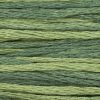1277 Collards Weeks Dye Works 6-Strand Floss