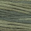 1303 Charcoal Weeks Dye Works 6-Strand Floss