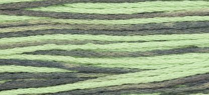 2161 Julep Weeks Dye Works 6-Strand Floss