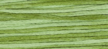 2176 Meadow Weeks Dye Works 6-Strand Floss