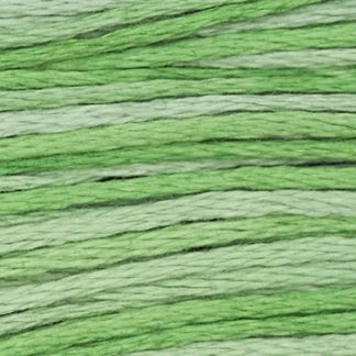 2181 Cactus Weeks Dye Works 6-Strand Floss