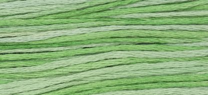 2181 Cactus Weeks Dye Works 6-Strand Floss