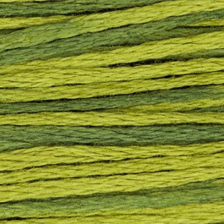 2201 Moss Weeks Dye Works 6-Strand Floss