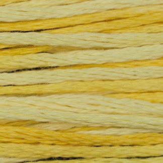 2218 Sally's Sunshine Weeks Dye Works 6-Strand Floss