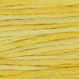 2223 Saffron Weeks Dye Works 6-Strand Floss