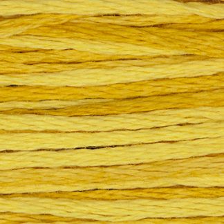 2224 Squash Weeks Dye Works 6-Strand Floss