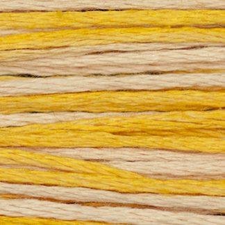 2231 Mimosa Weeks Dye Works 6-Strand Floss