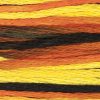 4101 Trick or Treat Weeks Dye Works 6-Strand Floss