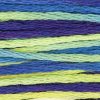 4127 Mermaid Weeks Dye Works 6-Strand Floss
