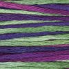4139 Bethlehem Weeks Dye Works 6-Strand Floss