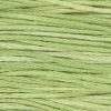 1120 Wasabi Weeks Dye Works 6-Strand Floss