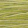 1193 Guacamole Weeks Dye Works 6-Strand Floss