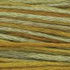 1264 Loden Weeks Dye Works 6-Strand Floss
