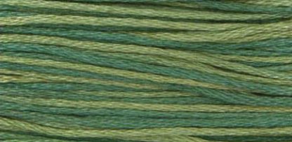 2166 Bayberry Weeks Dye Works 6-Strand Floss