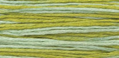 2176 Meadow Weeks Dye Works 6-Strand Floss