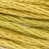 2208 Lichen Weeks Dye Works 6-Strand Floss