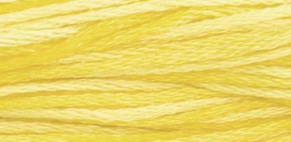 2218 Sally's Sunshine Weeks Dye Works 6-Strand Floss