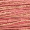 2276 Camellia Weeks Dye Works 6-Strand Floss