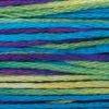 4127 Mermaid Weeks Dye Works 6-Strand Floss
