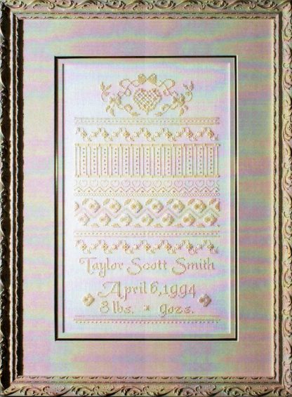 SCL165 Roosevelt Birth Sampler cross stitch pattern by Stoney creek