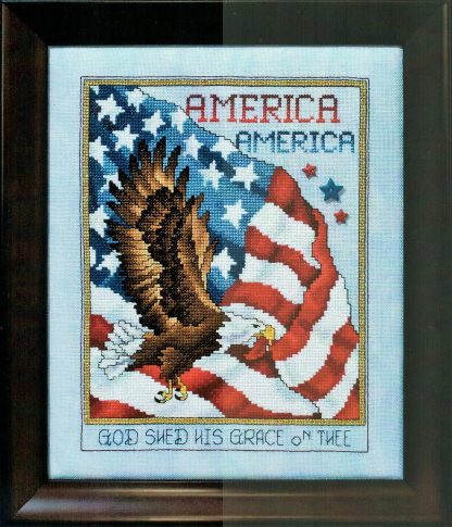 SCL486 America America cross stitch pattern from Stoney Creek