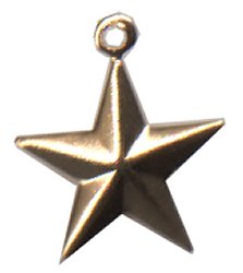 J13126-BR Raised Star Charm (BE003)