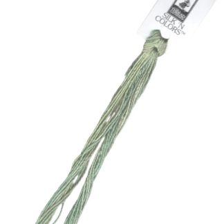 027 Maidenhair Fern Thread Gatherer Silk 'n Colors Floss