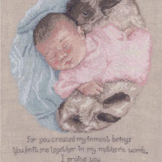 IM1969 Wonderfully Made cross stitch pattern from Imaginating