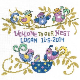 IM2907 Silly Birds Birth Record cross stitch pattern from Imaginating